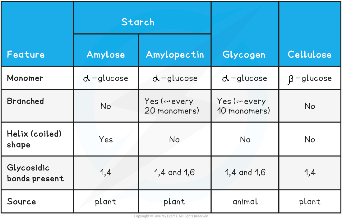 Summary-of-Polysaccharides-Table, downloadable IB Biology revision notes